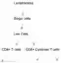 Fig. 29 - MODIFIED MULTIMERIC BICYCLIC PEPTIDE LIGANDS