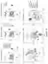 Fig. 04 - ORGANOID MESODERM LINEAGE DIVERSIFICATION