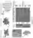 Fig. 24 - ORGANOID MESODERM LINEAGE DIVERSIFICATION