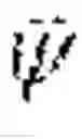 Fig. 37 - Range image aided INS