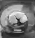Fig. 01 - PROCESS FOR PRODUCING A LIQUID HERBICIDAL COMPOSITION