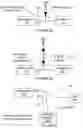 Fig. 07 - Biomonitoring systems and methods of loading and releasing the same