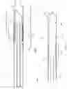 Fig. 02 - Intravascular data collection probes and related assemblies