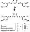 Fig. 01 - Uses of curcuminoid compositions