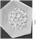 Fig. 02 - SOLID ORAL DOSAGE FORM COMPRISING NAPROXEN AND VITAMIN B12