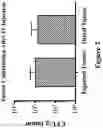 Fig. 03 - Engineered immunostimulatory bacterial strains and uses thereof