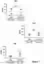 Fig. 08 - Engineered immunostimulatory bacterial strains and uses thereof