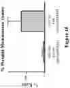 Fig. 16 - Engineered immunostimulatory bacterial strains and uses thereof