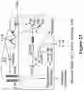 Fig. 26 - Engineered immunostimulatory bacterial strains and uses thereof