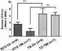 Fig. 01 - COMPOSITIONS AND METHODS FOR TREATING ALZHEIMERS DISEASE