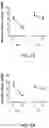 Fig. 04 - COMPOSITIONS AND METHODS FOR TREATING ALZHEIMERS DISEASE