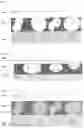 Fig. 02 - CATALYSER SUBSTRATES WITH POROUS COATING