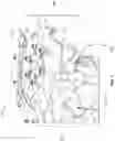 Fig. 02 - Starwheel preform orienting apparatus