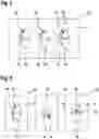 Fig. 04 - METHOD FOR ADDITIVE MANUFACTURE OF A PRODUCT, MANUFACTURING DEVICE AND SOLID PHARMACEUTICAL DOSAGE FORM