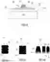 Fig. 06 - PROCESS AND DEVICE FOR PREPARING PLATES FOR CYLINDERS TO TREAT ITEMS OF THE PAPER PROCESSING INDUSTRY