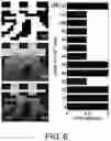 Fig. 06 - PHOTO-CURING THREE DIMENSIONAL PRINTING PREVIEW METHOD