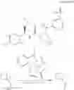 Fig. 366 - Bisamide sarcomere activating compounds and uses thereof