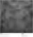 Fig. 01 - Chimeric papilloma virus L1 protein