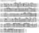 Fig. 04 - Chimeric papilloma virus L1 protein