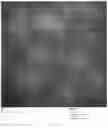 Fig. 14 - Chimeric papilloma virus L1 protein