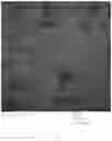 Fig. 15 - Chimeric papilloma virus L1 protein