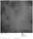 Fig. 16 - Chimeric papilloma virus L1 protein