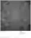 Fig. 18 - Chimeric papilloma virus L1 protein