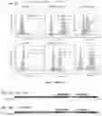 Fig. 04 - Chimeric antigen receptors against multiple HLA-G isoforms