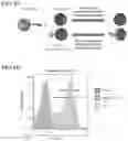 Fig. 07 - Chimeric antigen receptors against multiple HLA-G isoforms