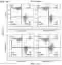 Fig. 08 - Chimeric antigen receptors against multiple HLA-G isoforms