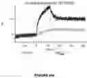 Fig. 586 - ANTIGEN-BINDING PROTEIN CONSTRUCTS AND USES THEREOF
