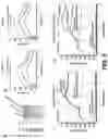 Fig. 08 - SINGLE CHAIN FUSIONCONSTRUCTS COMPRISING MULTIMERIC ANTIBODY FRAGMENTS FUSED TO COLLAGEN TRIMERIZATION DOMAINS