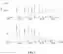 Fig. 02 - USE OF CATALYTIC ION EXCHANGE RESINS TO EFFECTIVELY DECOLORIZE POLYSACCHARIDES DERIVED FROM LIGNOCELLULOSIC BIOMASS