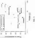 Fig. 06 - Use of latent metathesis polymerization systems for additive manufacturing