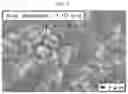 Fig. 06 - Thermoplastic elastomer composition and thermoplastic elastomer manufactured by using the same