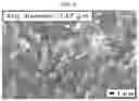 Fig. 07 - Thermoplastic elastomer composition and thermoplastic elastomer manufactured by using the same