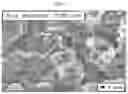 Fig. 08 - Thermoplastic elastomer composition and thermoplastic elastomer manufactured by using the same