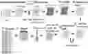 Fig. 01 - Bacteria repellant polymer composites