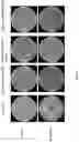 Fig. 09 - Bacteria repellant polymer composites