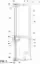 Fig. 04 - Appliance trim breaker assembly