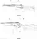 Fig. 04 - Caseless magazine weapon (variants)