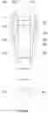 Fig. 79 - Caseless magazine weapon (variants)