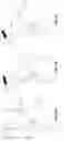 Fig. 09 - Fire control / trigger mechanism