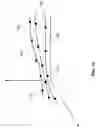 Fig. 30 - Generating a Navigational Map