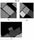 Fig. 11 - Region segmentation apparatus and method for map decomposition of robot