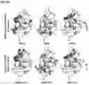Fig. 08 - METHODS AND COMPOSITIONS FOR HEPATITIS C VIRUS (HCV)