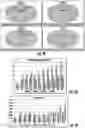 Fig. 12 - SYSTEM AND METHOD OF MANAGING A DESIGN LIFECYCLE OF A STRUCTURAL PART