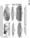 Fig. 19 - THERMAL MODELING OF ADDITIVE MANUFACTURING USING PROGRESSIVE HORIZONTAL SUBSECTIONS