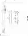 Fig. 05 - Manipulating diacritic marks