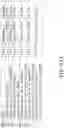 Fig. 161 - APPARATUS AND METHOD FOR FORMING PIVOT TABLES FROM PIVOT FRAMES